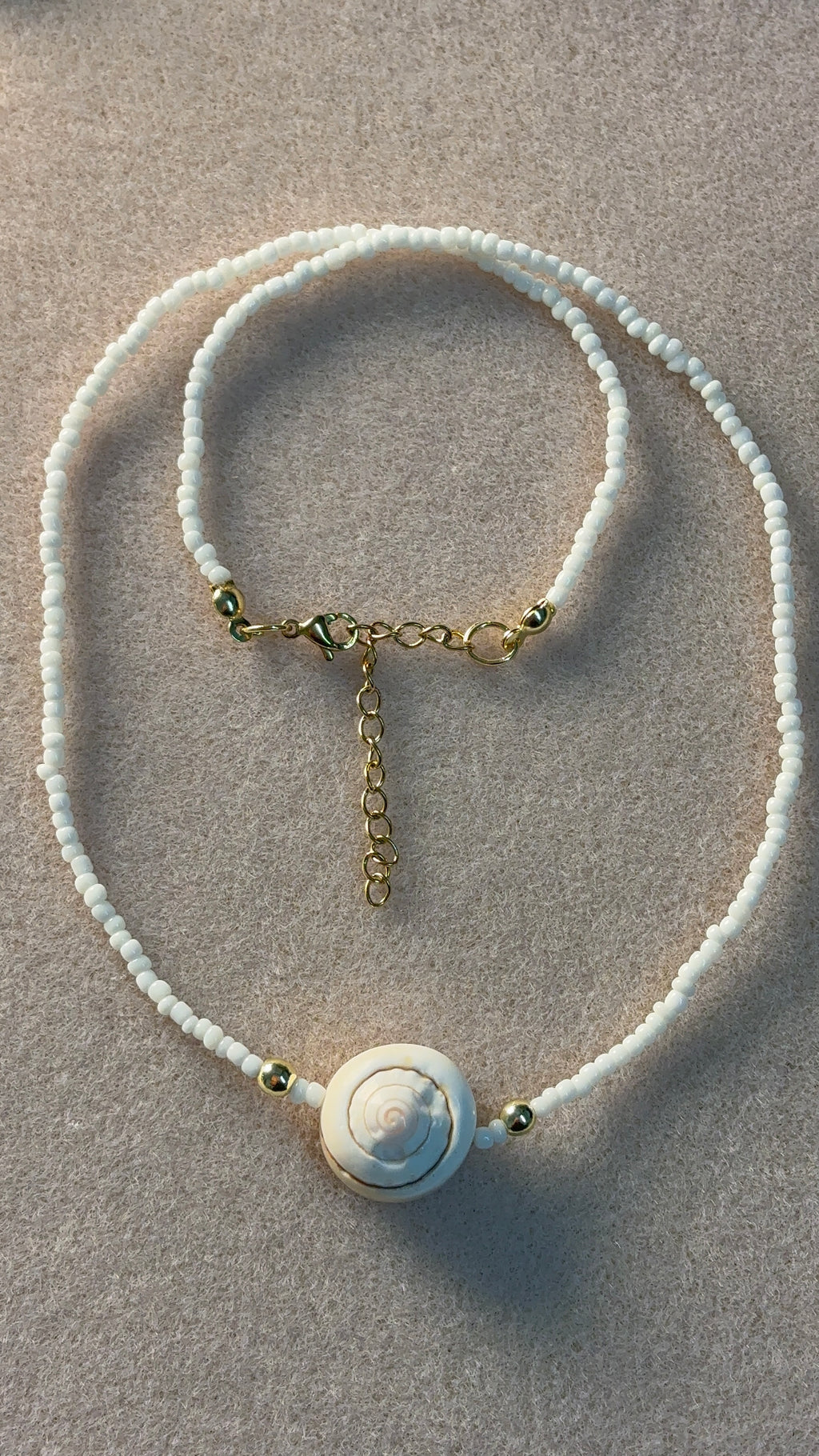 Pacific cat-eye Shell Necklace